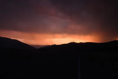 DSC_1843 (Large).JPG